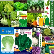 Seeds Cabbage Original Stall Single Vegetable Seeds Western Blue Flower Four Seasons Spring Autumn C