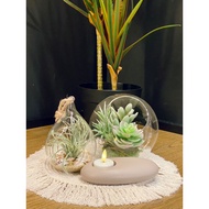 Macrame diffuser coaster for large base diffuser