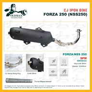 Exhaust CJ IPOH BIKE FORZA250 / NSS250 cutting standard tru pressure