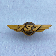 [PREMIUM 💯] Boeing 737 777 747 Airbus 320 330 350 380 wings aviation merchandise remove before fligh