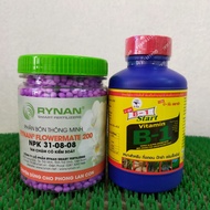 Combo B1 thái kích rễ  chồi lá + phân thông minh Rynan NPK 31–08–08 chuyên dùng cho lan con
