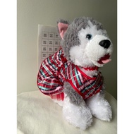Build-a-Bear-workshop BAB Build a Bear Workshop Realistic Syberian Husky with dress stuffed toy