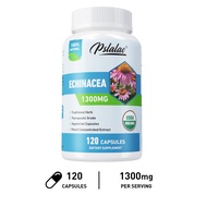Echinacea Extract 1300 mg | 120 Capsules | Vegan Non-GMO Gluten-Free