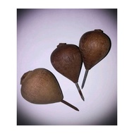 gasing kayu 100 pcs traditional toys