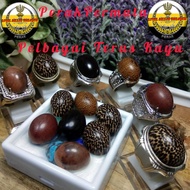 Cincin Teras Kayu Nibong , Penaga Petir , setigi , lemunggai (remunggai) , remunggai emas , cincin l