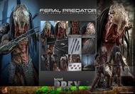 全新未拆 Hot toys Tms114 終極戰士 狩獵者 非 mms250 mms443 mms221