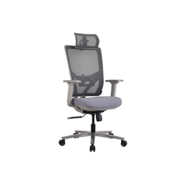 เก้าอี้เพื่อสุขภาพ