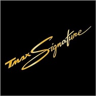 Motorcycle Sticker Front Fairing Signature Vinyl Decal Decoration Motorbike Creative Accessories compatible TMAX 500 530 560 (Color : Gold, Size : 20x4.3cm)