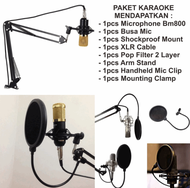 Karaoke Package / Recording Microphone Bm 800 Stand Mic + Filt Pop