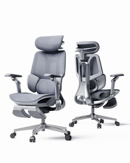(Ready Stock)HBADA E3 Pro 2026  Edition Ergonomic Chair Adjustable Headrest Armrest & Backrest Offic