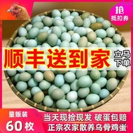 Zhichu Green Shell Mountain Eggs 60 Pieces Fresh Black Eggs 40 Pieces Country Refined Eggs Whole Box