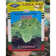 TERBARU benih sayur sawi pahit lotus cap kapal terbang 50gr