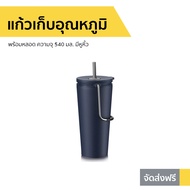 แก้วเก็บอุณหภูมิพร้อมหลอด LocknLock ความจุ 540 มล. มีหูหิ้ว LHC4268 - แก้วเก็บอุณหภูมิ แก้วเก็บเย็น