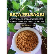 Baja Osmocote (Pelbagai) | Osmocote Slow Released Fertilizer NPK 14-14-14