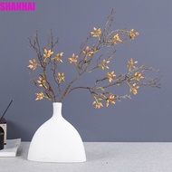 SHANHAI Eucalyptus Fruit Branch, Handmade Lifelike Artificial Plant Dead Branch, Faux Plant Real Tou