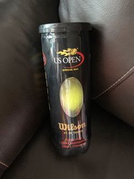 Wilson tennis ball 網球