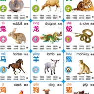 Pinyin Alphabet Early Childhood Literacy Oral Arithmetic Literacy Wall Chart Sticker Baby Wall Chart
