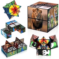2 in 1 Star Cube Magic Cube Set, Fidget Toy for Kids, Animal Toys for Ages 8-13, Travel Yoshimoto Cu