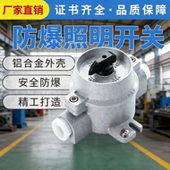 SW-10 Explosion-Proof Lighting Switch 10A220V/380VIP66 Chemical Control Waterproof Explosion-Proof C
