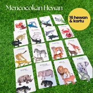 Matching Land & Sea Animals 16 pcs + Card | Education & Montessori Flash Card for Kid Toys for Kids 