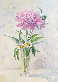 牡丹雛菊原創水彩 40 x 30 厘米