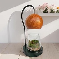 Glass Plant Terrarium Min DIY Kit with Light for Succulent, Moss, Ferns Household Plant Decor Tabletop Decoration Gardening Landscape Desk Lamp for Green Thumb, Plant Fan