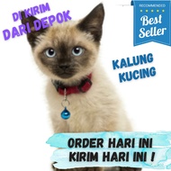 Kalung kucing / kalung kucing murah / polos lonceng 14 mm