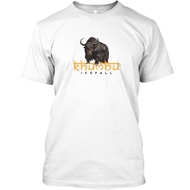 13Th Birthday 13 Year Old Design Best Gift Idea Tee