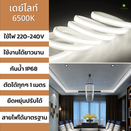 led strip light ไฟเส้น led 220v ติดห้อง ไฟนีออนเฟล็กซ์ เเต่งบ้าน ไฟสายยาง COB แสงขาว แสงคลูไวท์ ไฟซ่