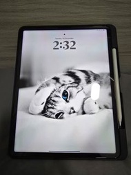 iPad pro 12.9" 5th generation 256G Wifi