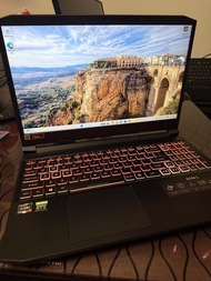 Acer Nitro 5 Gaming Laptop (RTX 3060, 32GB ram)