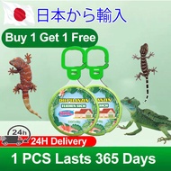 Gecko killer 100% Lizard Removal Rate Lizard repellent Gecko repellent prevent and repel dual effect