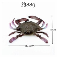 Simulation Portunid Yangcheng Lake Gate Crab Model Fake Male and Female Cooked Live River Fresh Dishes Decorative Food P