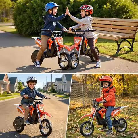 Electric Motorcycle with 3 Speed of 5/7.5/15.5MPH & up to 12.4 Miles,36V 300W Kids Electric Dirt Bik