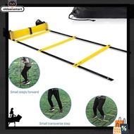 Direct delivery 4M/6M/8M/10M Agility Ladder Speed Ladder Training Ladder Football training Speed Lad