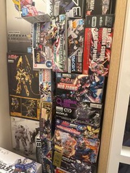 清山‼️sd mgsd hg rg mg pg mgex gundam 高達模型堆積 獨角獸 自護號 突擊 自由 zeong unicorn freedom