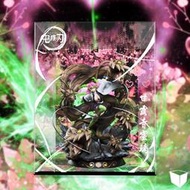 好物推薦～免運～【魔盒】魔方 鬼滅之刃 甘露寺蜜璃 戀柱 雕像GK 專用 防塵展示盒
