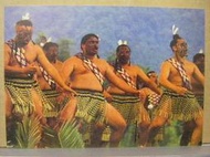【明信片 酷卡 宣傳卡】台灣麥克 大地之美系列 毛利武士 紐西蘭(P709)