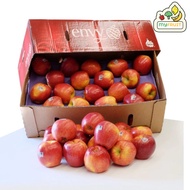 ENVY APPLE-USA/NZ 24,28,32PCS/9KG