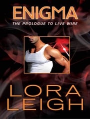 Enigma Lora Leigh