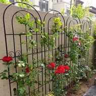 ST&amp;💘Clematis Lattice Rose Chinese Rose Planting Garden Fence Outdoor Flower Stand Support Rod Iron Art Plant Climbing Fr