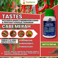 Obat Penyakit Tanaman Cabe / Obat Penyakit Cabe / Obat Penyakit Pada Pohon Cabe / Obat Penyakit Daun