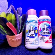 Aquadene ph up /pH down