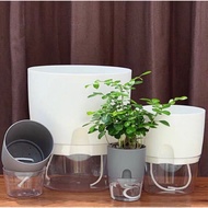 SELF WATERING POT / HYDROPONIC CLEAR PLASTIC POT