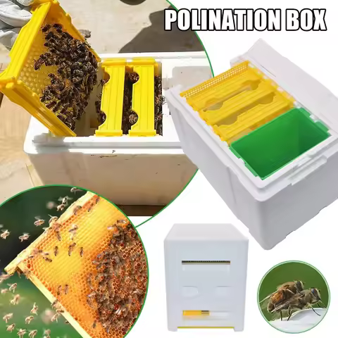 Queen Bee Breeding Box Bee Mating Box Foam Bee Hive Box Beekeeper Garden Pollination Box Bee Breedin