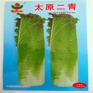 Taiyuan Erqing Hemp Leaf Cabbage Seeds Early Mature Chinese Cabbage Straight Field Autumn and Winter Planting Cold-Resis