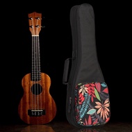 [TyoungSG] Ukulele Gig Bag Adjustable Straps Musical Instrument Case for Books Concert
