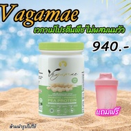 เข้าร่วมโปรแกรมส่งฟรี VEGAMAE ️Hot โปรตีนถั่วลันเตาสีทอง ตรา เวกาเม่ โปรตีนพืช ไม่ผสมนมวัว