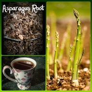 wild asparagus root/ herb/powder (Asparagus Officinalis spp.)芦笋粉 Lúsǔn sparrow grass Asperge garden oranda-kiji-kakus