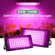 GRAXIDEA Lampu LED Grow Light Lamp Hydroponic Plant Growth 50W